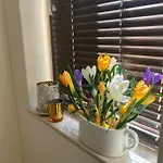 Sunrise Lighthouse Golf Private