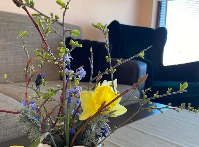 Villa Sunrise Lighthouse Golf Private